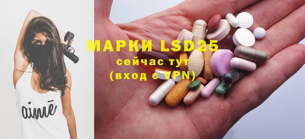 эйфоретик Ельня