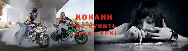 эйфоретик Ельня