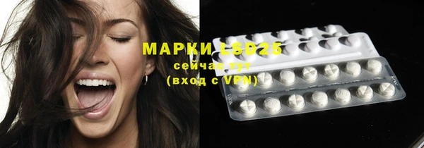 эйфоретик Ельня