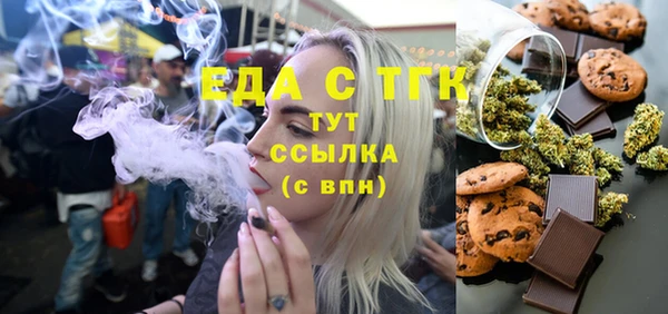 гашик Гусь-Хрустальный
