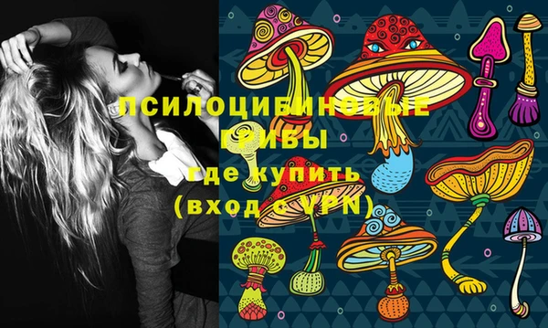 спиды Елизово