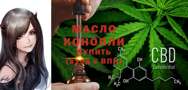 гашик Гусь-Хрустальный