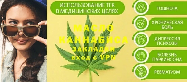 эйфоретик Ельня