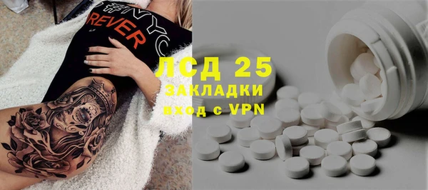 спиды Елизово